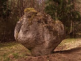 skalný hríb smrčok - Súľovské skaly