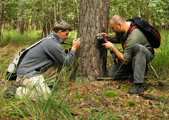 majstri fotografi