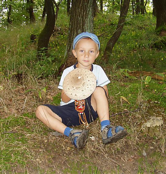 bedľa vysoká a Jarko Macrolepiota procera a JaromÃ­r