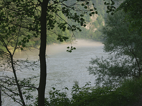 dunajec