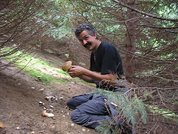 hríb smrekový Boletus edulis