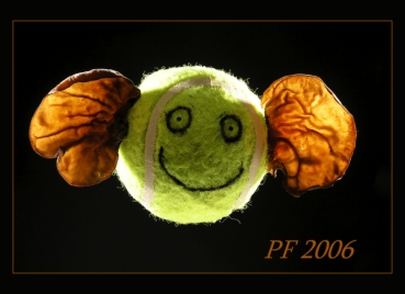 pF 2006