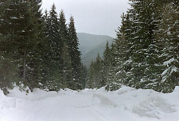 zima v Račkovej doline-pohľad na sever