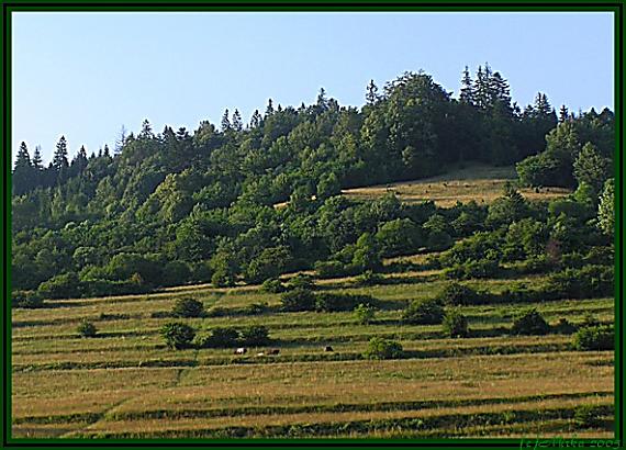 nálepkovo - okolie