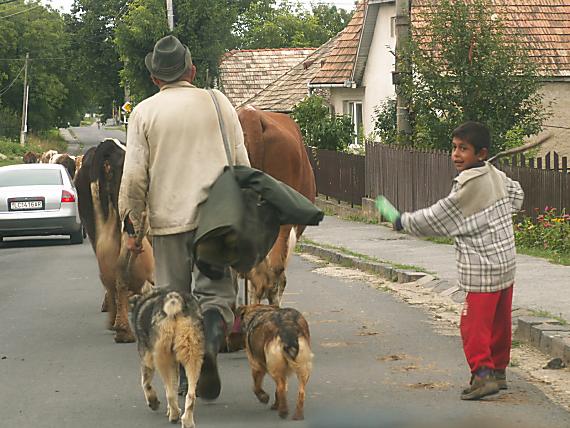 ide sa domov!