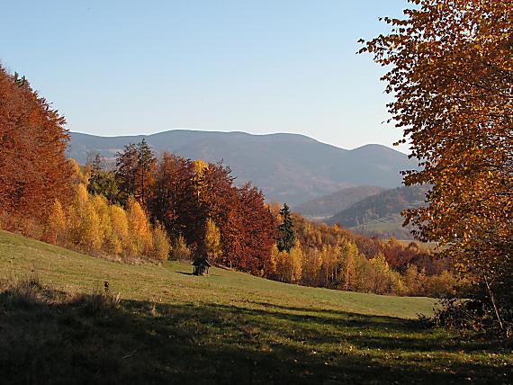 zlatistá jeseň