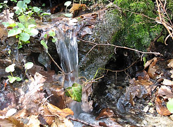 potôčik pre Božku-Sibylu