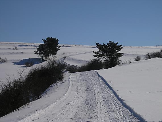 príroda pre bežkárov