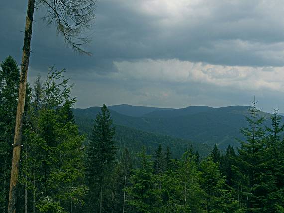 fotený zo Škapovej cca 1230m