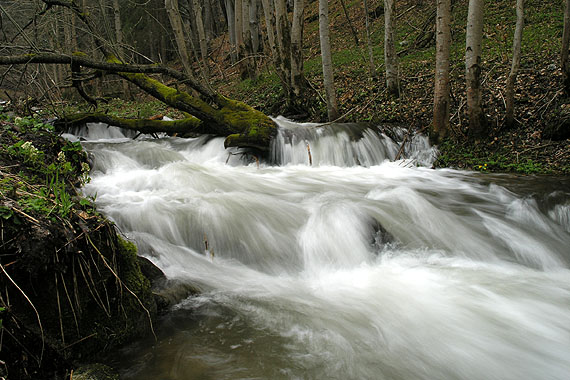 vodopád cez machom obrastený strom