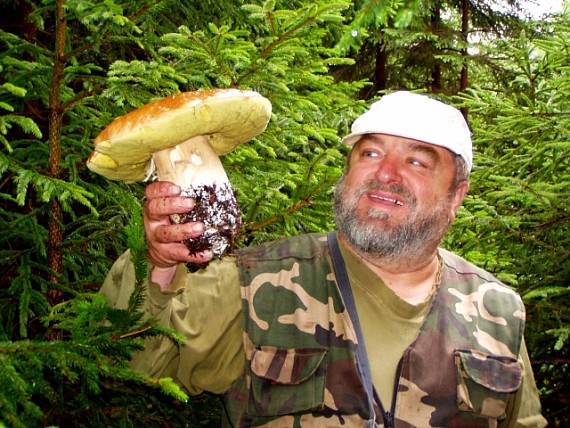 hríb smrekový Boletus edulis