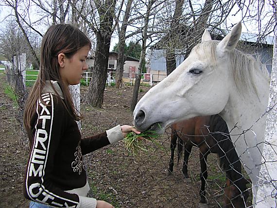 kika a Čarena