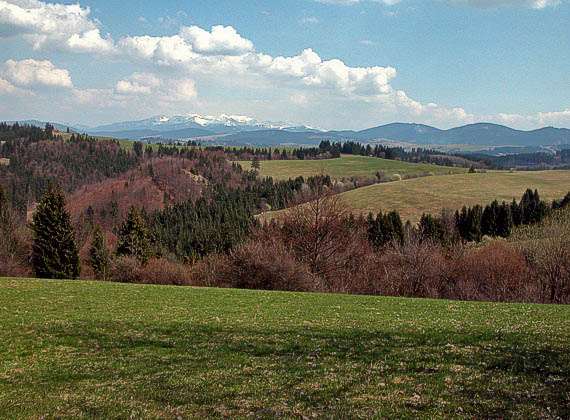 krajinka s Roháčmi v pozadí.