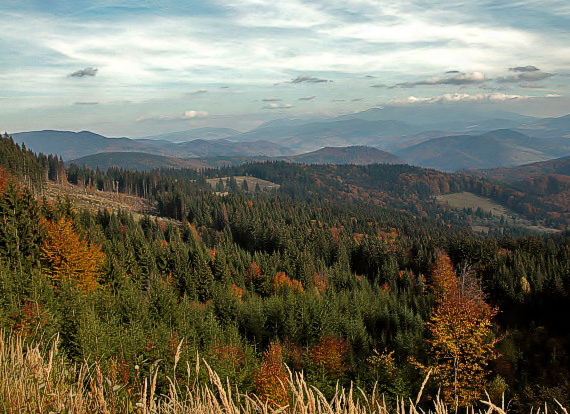 pohľad z Kubínskej Hole