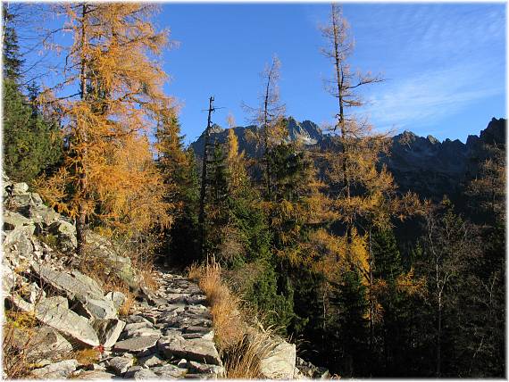 cestou na Popradské pleso...