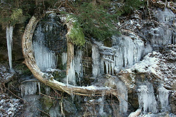 prišla zima