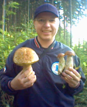 hriby Boletus sp.