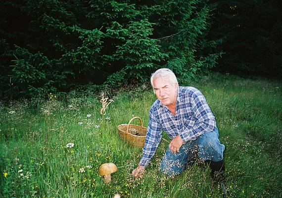 hríb smrekový Boletus edulis