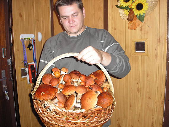 kozáky Leccinum