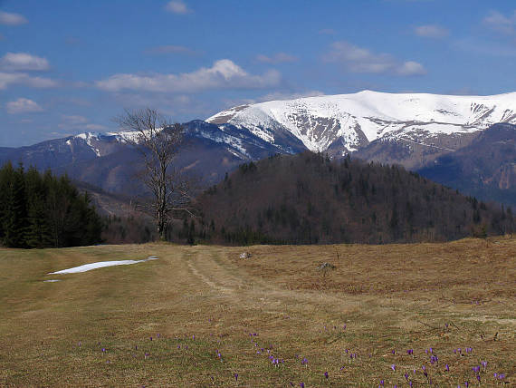 veľká Fatra - Krížna