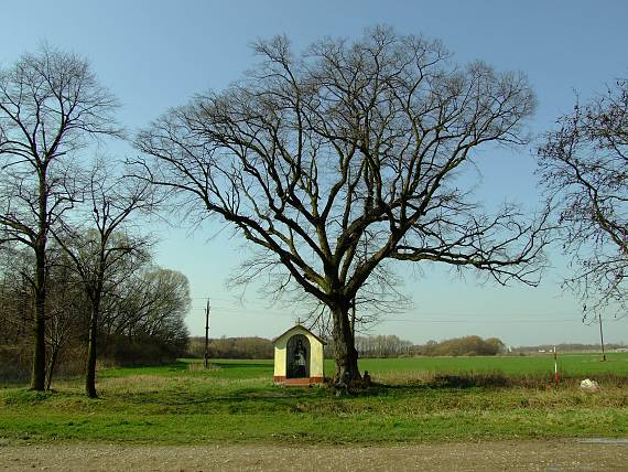 vyšná Myšľa