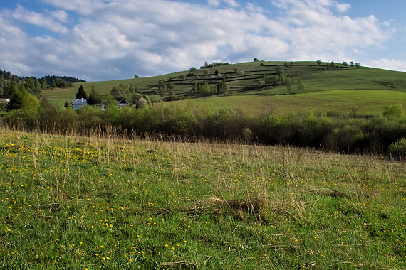 niekde nad Breznom