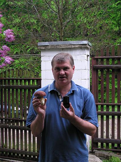 hríb dubový Boletus reticulatus