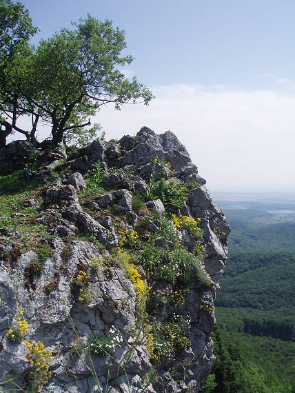 čierna skala