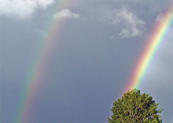 double rainbow