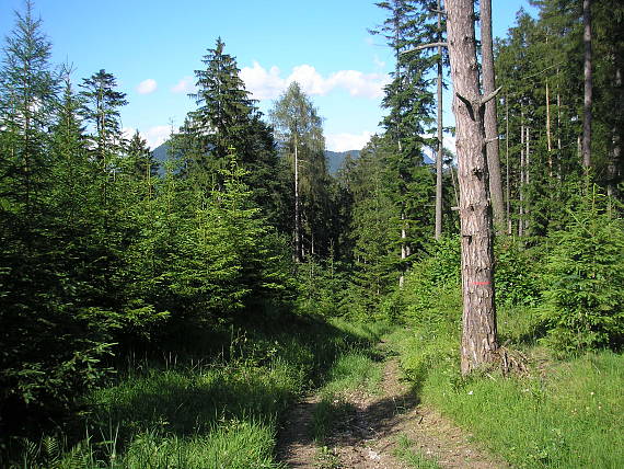 ružomberok - okolie