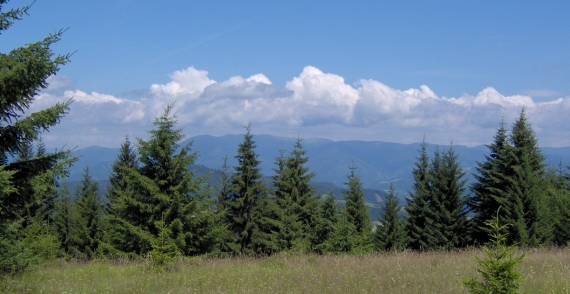 nizke Tatry