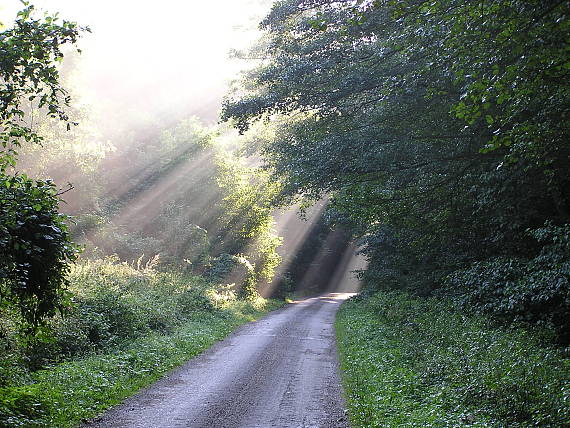 brána do raja /mojho/