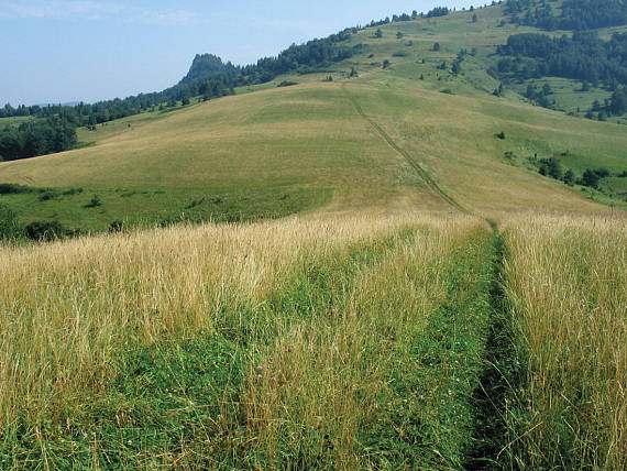 cesta na hranicu