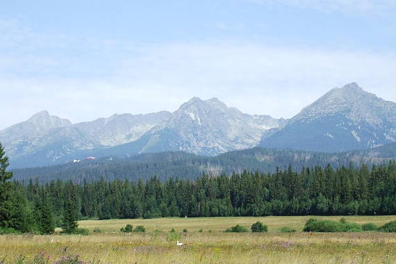 ...bocian a Vysoké Tatry