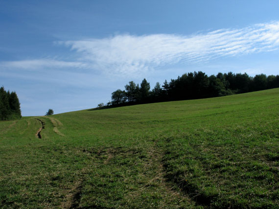 pred zmenou počasia