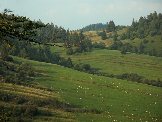 vernárske pastorále