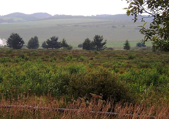 klinské rašelinisko - ŠPR