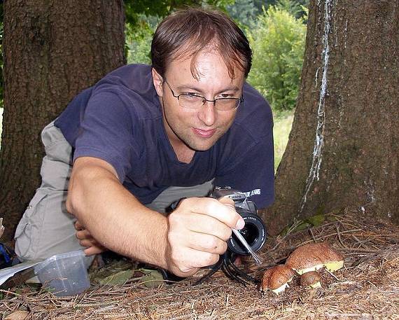 vlado a horské Butyriboletus subappendiculatus