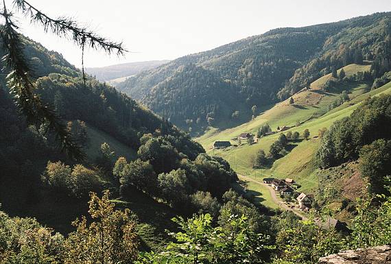 schwarzwald