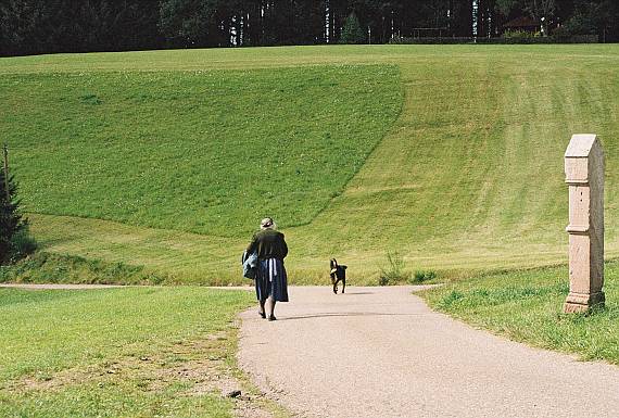 schwarzwald