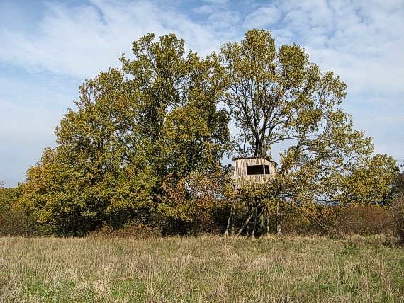 poľovnícky posed