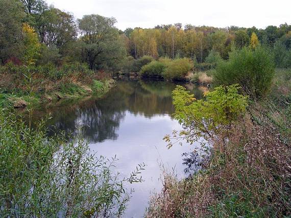podzimní nálada na řece Moravě