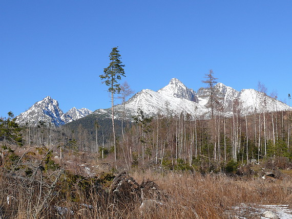 vysoké Tatry v zimnej pohode