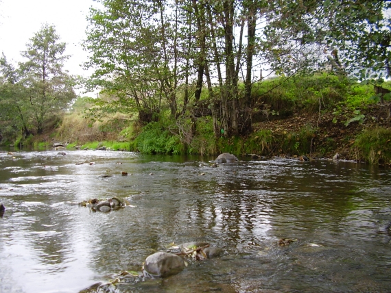 štiavnička