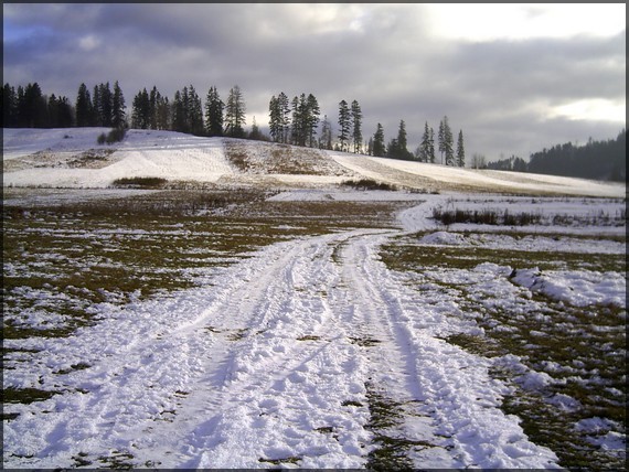 na rozhraní jari