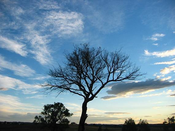 sky on the farm