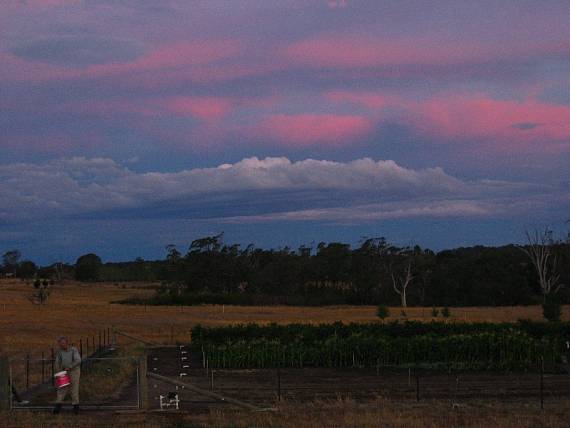 sun set at farm