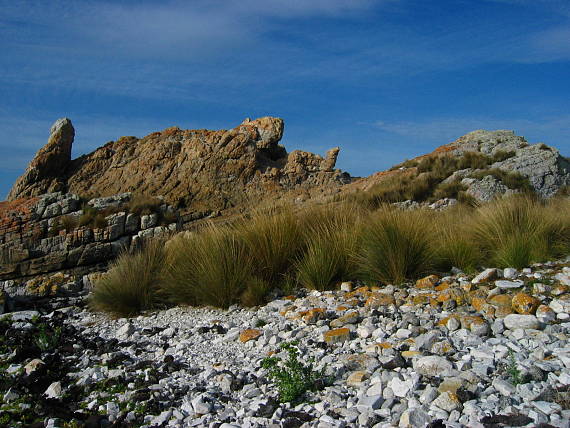 rocks and Grass