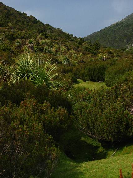 pandani valley