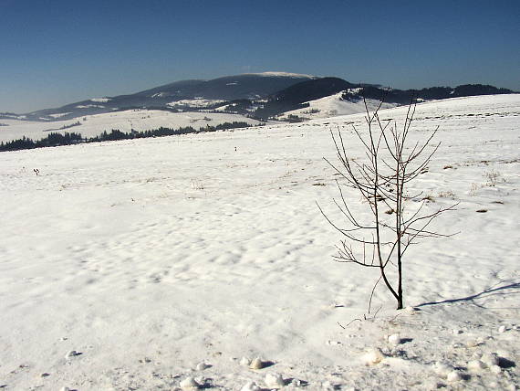 piľsko